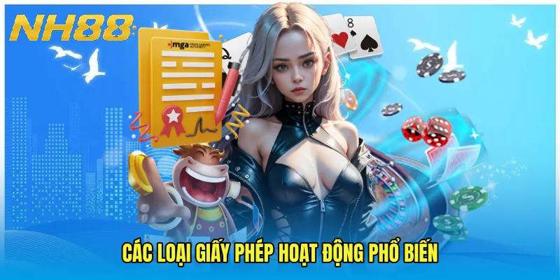 Các loại Giấy Phép Hoạt Động phổ biến