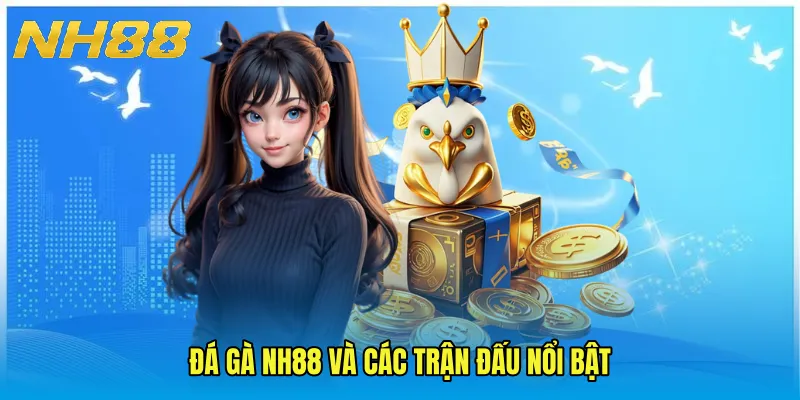 Đá Gà NH88 và các trận đấu nổi bật