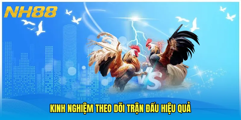 Kinh nghiệm theo dõi trận đấu hiệu quả