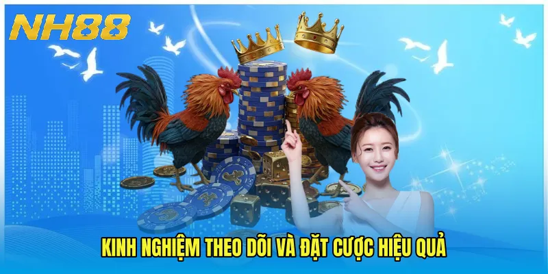 Kinh nghiệm theo dõi và đặt cược hiệu quả