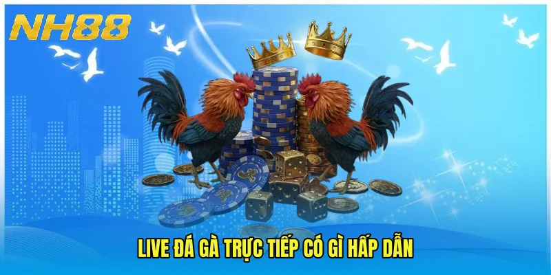 Live đá gà trực tiếp có gì hấp dẫn