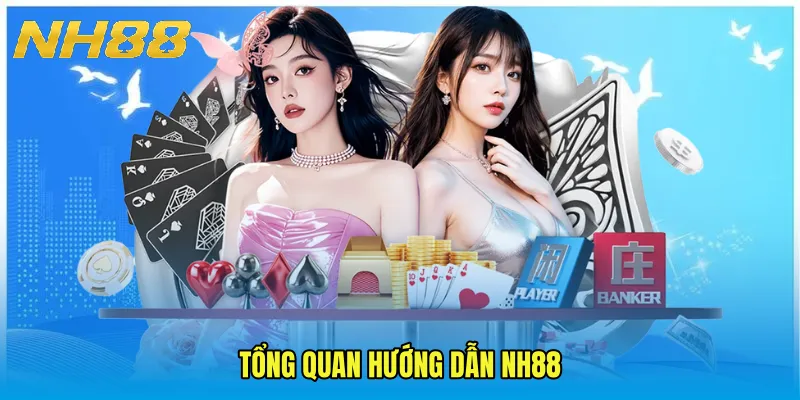 Tổng Quan Hướng Dẫn NH88