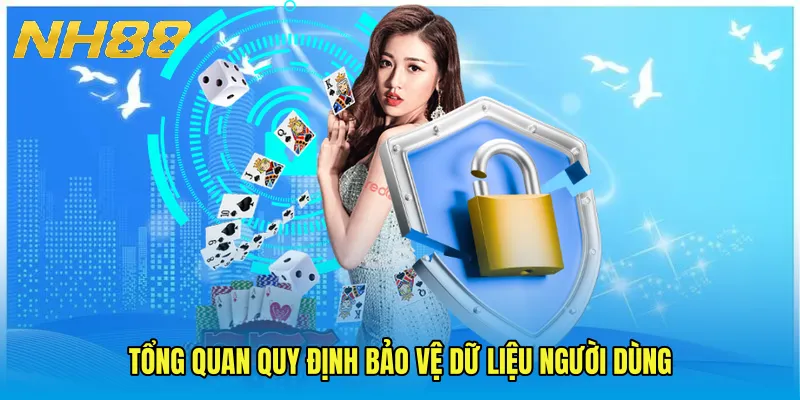 Tổng quan quy định bảo vệ dữ liệu người dùng