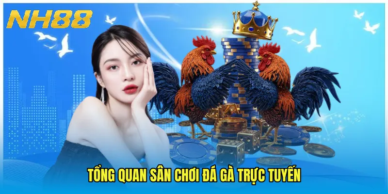 Tổng quan sân chơi đá gà trực tuyến