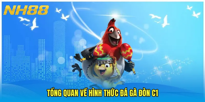 Tổng quan về hình thức đá gà đòn C1